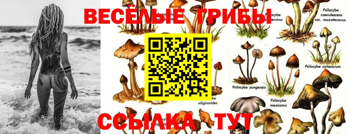 Псилоцибиновые грибы ЛСД Краснодар