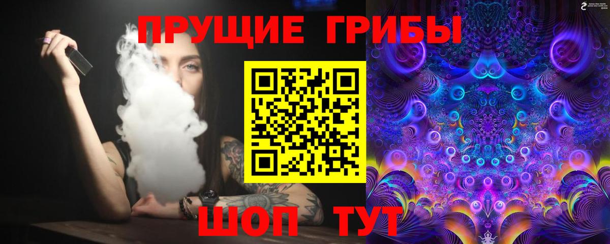 Краснодар  Псилоцибиновые грибы Cubensis  Вход с VPN 